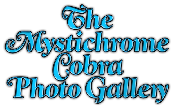 The Mystichrome Cobra Photo Gallery
