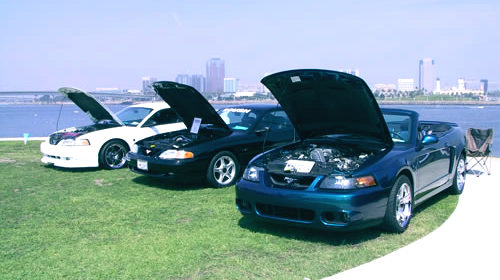 Mystichrome Cobra #969 — 2004 “Mustangs at the Queen Mary” Show, Long Beach, CA